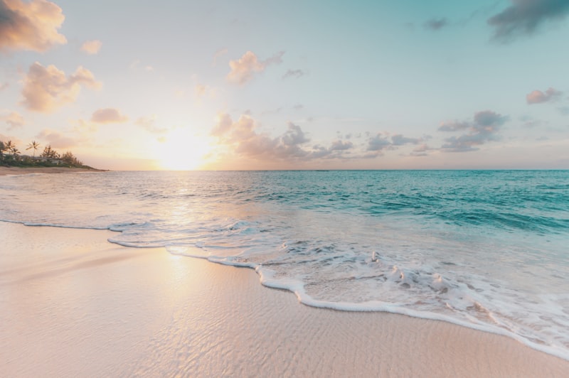 Plage bordée de végétation dense en fin de journée